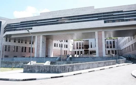 Screenshot of Vanadzor Medical Center